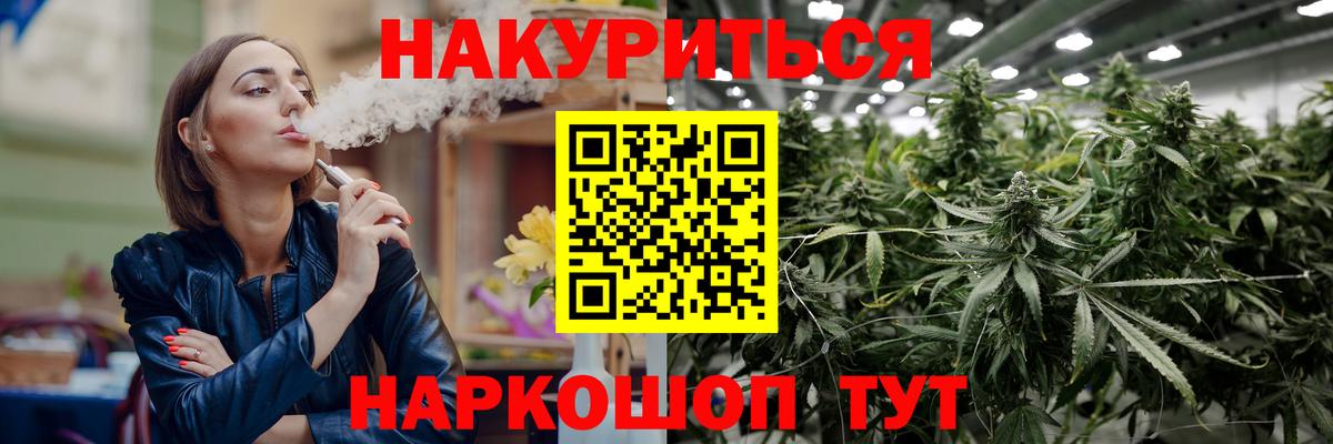 Канабис сатива Волгоград